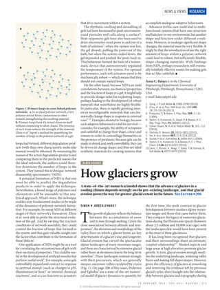 NEWS & VIEWS RESEARCH

                                                      that drive movement within a system.                        accomplish analogous adaptive behaviours.
                                                        The rhythmic swelling and deswelling of                      Advances in this area could lead to multi-
   a
                                                      gels has been harnessed to push micro­metre-                functional systems that have one structure
                                                      sized particles and cells along a surface 6.                and function in one environment, but another
                                                      Heat-responsive gels have also been used to                 shape and function under different condi-
                                                      drive micrometre-sized posts in and out of a                tions. However, to undergo significant shape
                                                      bath of solution7: when the system was hot,                 changes, the material must be very flexible. It
                                                      the gel shrank, pulling the posts out of the                might be that the introduction of just the right
                                                      bath, but when the system cooled down, the                  amount of loops within a polymer network
                                                      gel expanded and pushed the posts back in.                  could lead to robust, but sufficiently flexible,
                                                      This behaviour formed the basis of a homeo-                 shape-changing materials. With findings
                                                      static device that autonomously regulated                   from NDS, perhaps researchers will eventu-
   b
                                                      the temperature of the system. For optimal                  ally establish effective routes for making gels
                                                      performance, such soft actuators need to be                 that act like cuttlefish. n
                                                      mechanically robust — which means that they
                                                      should not contain wasted loops.                            Anna C. Balazs is in the Chemical
                                                        On the other hand, because NDS can yield                  Engineering Department, University of
                                                      correlations between mechanical properties                  Pittsburgh, Pittsburgh, Pennsylvania 15261,
                                                      and the fraction of loops in a gel, it might help           USA.
                                                      to provide design rules for exploiting loops,               e-mail: balazs@pitt.edu
                                                      perhaps leading to the development of robust
                                                      materials that nonetheless are highly flexible.             1.	 Gong, J. P. Soft Matter 6, 2583–2590 (2010).
                                                                                                                  2.	 Zhou, H. et al. Proc. Natl Acad. Sci. USA 109,
Figure 1 | Primary loops in cross-linked polymer      In particular, there is rapidly growing inter-                   19119–19124 (2012).
networks. a, In an ideal polymer network, every       est in reconfigurable materials that can dra-               3.	 Panyukov, S. & Rabin, Y. Phys. Rep. 269, 1–131
polymer strand forms connections to other             matically change shape in response to external                   (1996).
strands, strengthening the resulting material.        cues8–10. Examples abound in biology, because               4.	 Yashin, V., Kuksenok, O., Dayal, P. & Balazs, A. C.
b, Primary loops form if a strand closes on itself                                                                     Rep. Progr. Phys. 75, 066601 (2012).
without connecting to other chains. The presence
                                                      such adaptive behaviour is vital for survival —
                                                                                                                  5.	 Cohen Stuart, M. A. et al. Nature Mater. 9, 101–113
of such loops reduces the strength of the material.   consider, for example, the ability of octopuses                  (2010).
Zhou et al.2 report a method for quantifying the      and cuttlefish to change their shape, colour and            6.	 Yoshida, R. Sensors 10, 1810–1822 (2010).
number of loops in the polymer network of a gel.      texture in order to camouflage themselves in                7. 	 He, X. et al. Nature 487, 214–218 (2012).
                                                      the presence of predators. Because gels can be              8.	 Guillet, P. et al. Soft Matter 5, 3409–3411 (2009).
                                                                                                                  9.	 Yashin, V. V., Kuksenok, O. & Balazs, A. C. J. Phys.
loops had formed, different degradation prod-         made to shrink and swell controllably, they can                  Chem. B 114, 6316–6322 (2010).
ucts (with their own characteristic molecular         be driven to change shape, and thus are ideal               10.	Ueno, T., Bundo, K., Akagi, Y., Sakai, T. & Yoshida, R.
masses) would be obtained. By measuring the           synthetic materials for creating systems that                    Soft Matter 6, 6072–6074 (2010).
masses of the actual degradation products and
comparing them to the predicted masses for
the ideal network, the authors could there-             EA RTH SC I E N CE
fore determine the number of loops in the
system. They named this technique ‘network
disassembly spectrometry’ (NDS).
   A potential limitation of NDS is that one
                                                      How glaciers grow
must be able to predict the degradation
products in order to apply the technique.             A state-of-the-art numerical model shows that the advance of glaciers in a
Never­theless, a broad range of polymers and          cooling climate depends strongly on the pre-existing landscape, and that glacial
chemistries will be amenable to this ana-             erosion paves the way for greater glacial extent in the future. See Letter p.206
lytical approach. What’s more, the technique
enables new fundamental studies to be made
of the dynamics of polymer-network forma-             SIMON H. BROCKLEHURST                                       the first time, the stark contrast in glacier
tion. For example, by using NDS at different                                                                      development between modern alpine moun-


                                                      T
stages of their network’s formation, Zhou                     he growth of glaciers reflects the balance          tain ranges and those that came before them.
et al. were able to probe the structural evolu-               between the accumulation of snow                    They compare the legacy of numerous glacia-
tion of the gel. And by varying the reaction                  and its loss through melting. Given the             tions during the Pleistocene epoch (between
conditions of network assembly, they could            close association between altitude and tem-                 about 2.5 million and 10,000 years ago) with
control the fraction of loops that formed in          perature1, the elevation and morphology of the              the landscapes that would have been present
the system, and thus gain valuable insight into       valley floor on which a glacier forms are key               at the onset of these glaciations.
the factors that contribute to the formation of       determinants of a glacier’s size and long­evity.               It has long been recognized that glaciers
these ‘defects’.                                      Glacial erosion has carved the spectacular                  and their surroundings share an intimate,
   One application of NDS might be as a tool          alpine landscapes of many mountain ranges,                  coupled relationship4,5. Shaded aspects and
for correlating the microstructure of gels with       and these are characterized by extensive glacial            large areas at high elevation promote glacier
their mechanical properties. This could be use-       valley floors at elevations close to the long-term          growth. In turn, glacial erosion strongly modi-
ful in the development of artificial muscles that     snowline2. These landscapes contrast strongly               fies the underlying landscape, widening valley
perform useful work4. For example, some gels          with their precursors, which are generally                  floors and making hill slopes steeper. However,
controllably expand and contract in response          steeper, narrower valleys sculpted by rivers                given the efficiency of glaciers at reworking
to external stimuli (such as changes in pH,           (Fig. 1). On page 206 of this issue, Pedersen               and removing the evidence left by previous
illumination or heat)5 or internal chemical           and Egholm3 use a state-of-the-art numeri-                  glacial cycles, direct insight into the relation-
reactions4, and so can function as actuators          cal model of glacier dynamics to quantify, for              ship between glaciers and topography during

                                                                                                            1 0 JA N UA RY 2 0 1 3 | VO L 4 9 3 | N AT U R E | 1 7 3
                                                      © 2013 Macmillan Publishers Limited. All rights reserved
 