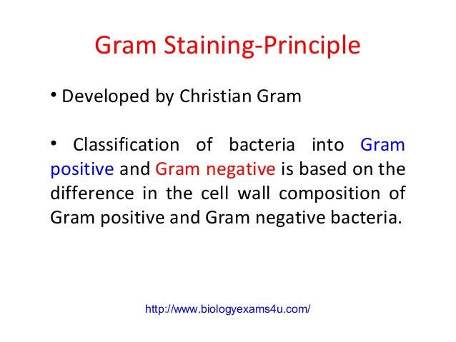 How Gram stain works?