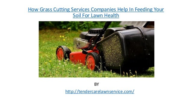 how grass cutting services companies help in feeding grass cutting companies