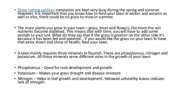 how grass cutting services companies help in feeding grass cutting companies