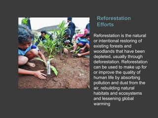 Reforestation
Efforts
Reforestation is the natural
or intentional restoring of
existing forests and
woodlands that have been
depleted, usually through
deforestation. Reforestation
can be used to make up for
or improve the quality of
human life by absorbing
pollution and dust from the
air, rebuilding natural
habitats and ecosystems
and lessening global
warming
 