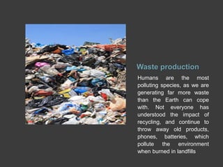 Waste production
Humans are the most
polluting species, as we are
generating far more waste
than the Earth can cope
with. Not everyone has
understood the impact of
recycling, and continue to
throw away old products,
phones, batteries, which
pollute the environment
when burned in landfills
 