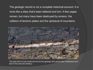 The geologic record is not a complete historical account. It is
more like a diary that’s been tattered and torn. A few pages
remain, but many have been destroyed by erosion, the
collision of tectonic plates and the upheaval of mountains.
The pale band of rock marks the end of one geologic time period (the Cretaceous) and
start of the next (the Tertiary)
 