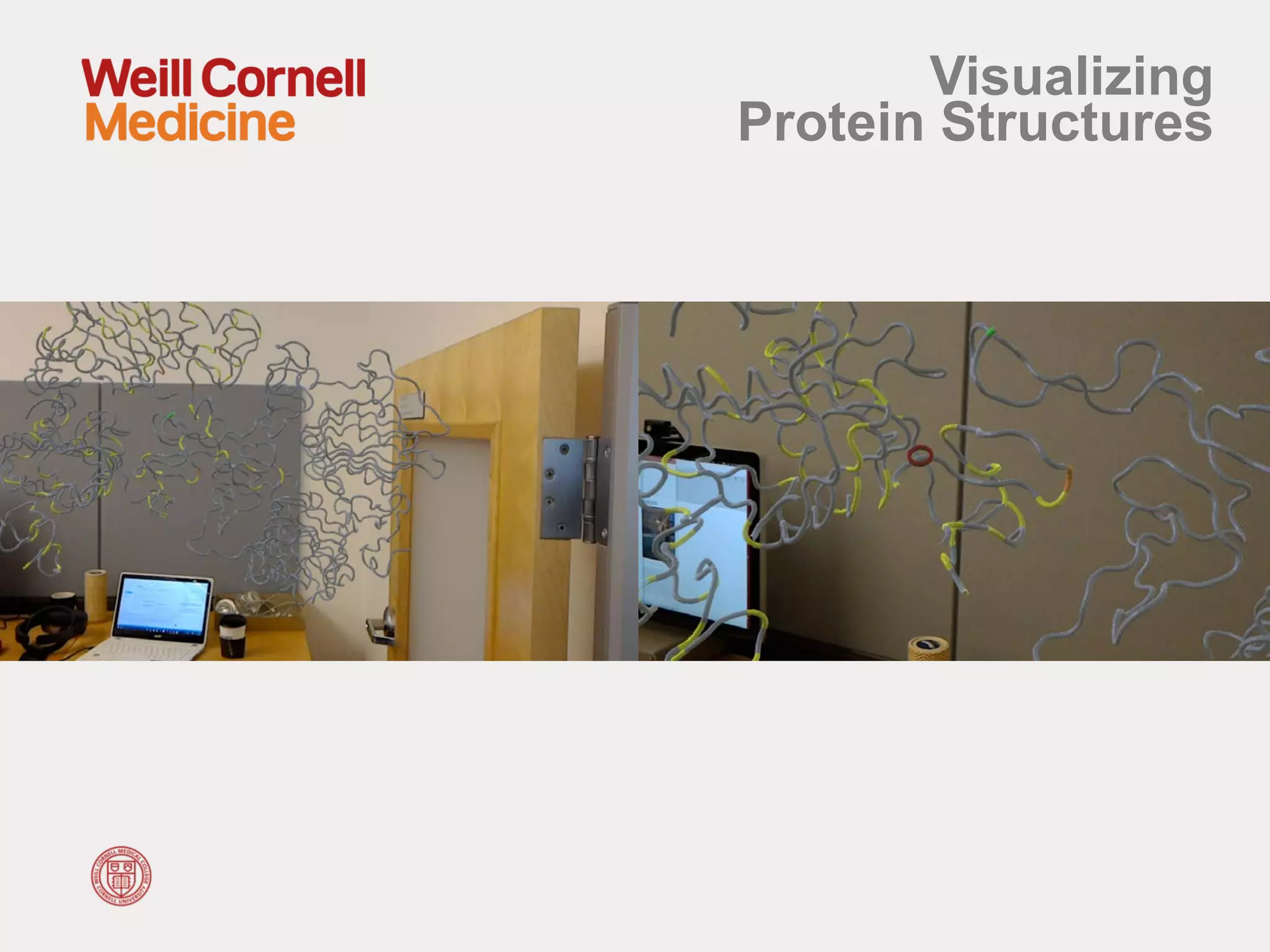 Visualizing
Protein Structures
 