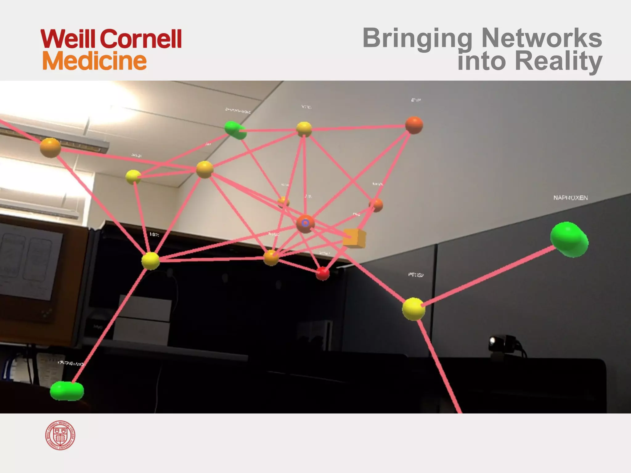 Bringing Networks
into Reality
 