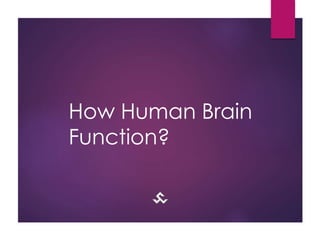 How Human Brain
Function?
 