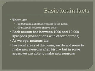 howhumanbrainworks powerpoint presentation | PPT