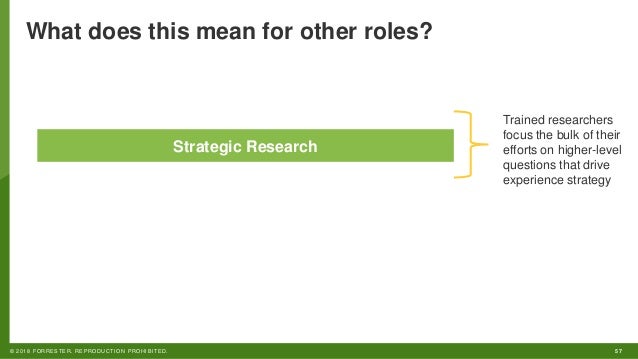 how human insights focused organizations become cx leaders