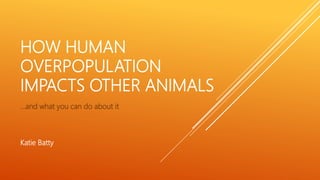 HOW HUMAN
OVERPOPULATION
IMPACTS OTHER ANIMALS
…and what you can do about it
Katie Batty
 