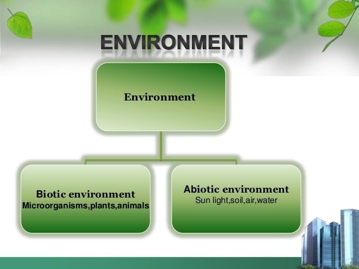 How humans are engaged in altering the environment