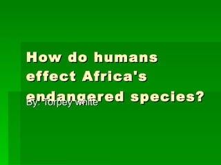 How do humans effect Africa's endangered species?   By: Torpey white 