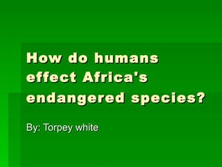 How do humans effect Africa's endangered species?   By: Torpey white 