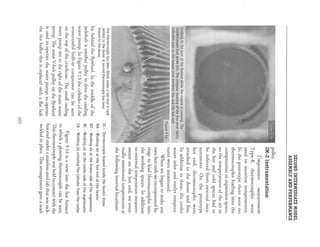 How i built a 5 hp stirling engine