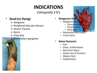 INDICATIONS
Colloquially 3 D’s
• Dead (or Dying)
 Gangrene
 Peripheral Vascular disease
 Severe Trauma
 Burns
 Frost bite
 Bone setters gangrene
• Dangerous limb
– Malignant tumours
• Osteosarcoma
• Marjolins ulcer
• Melanoma
– Potentially lethal sepsis
– Crush Injury
• Damn Nuisance
– Pain
– Gross malformation
– Recurrent Sepsis
– Severe loss of function
– Madura foot
– Elephantiasis
 