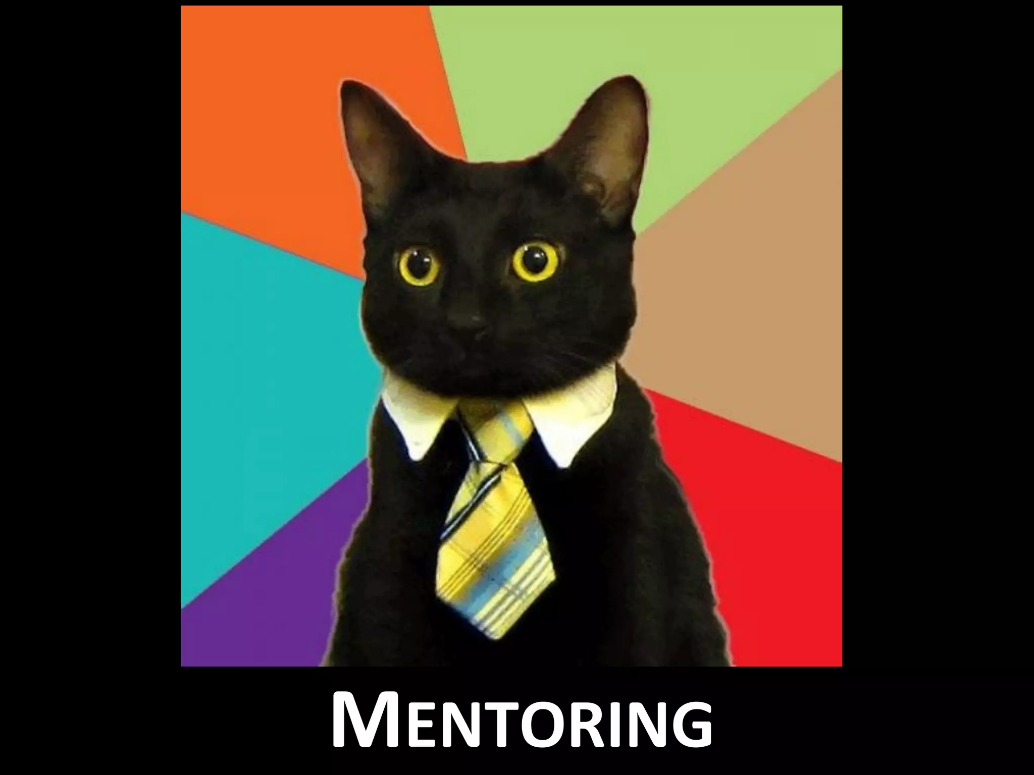 MENTORING