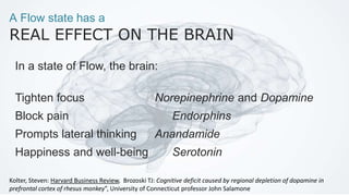 A Flow state has a
REAL EFFECT ON THE BRAIN
In a state of Flow, the brain:
Tighten focus Norepinephrine and Dopamine
Block pain Endorphins
Prompts lateral thinking Anandamide
Happiness and well-being Serotonin
Kolter, Steven: Harvard Business Review, Brozoski TJ: Cognitive deficit caused by regional depletion of dopamine in
prefrontal cortex of rhesus monkey”, University of Connecticut professor John Salamone
 
