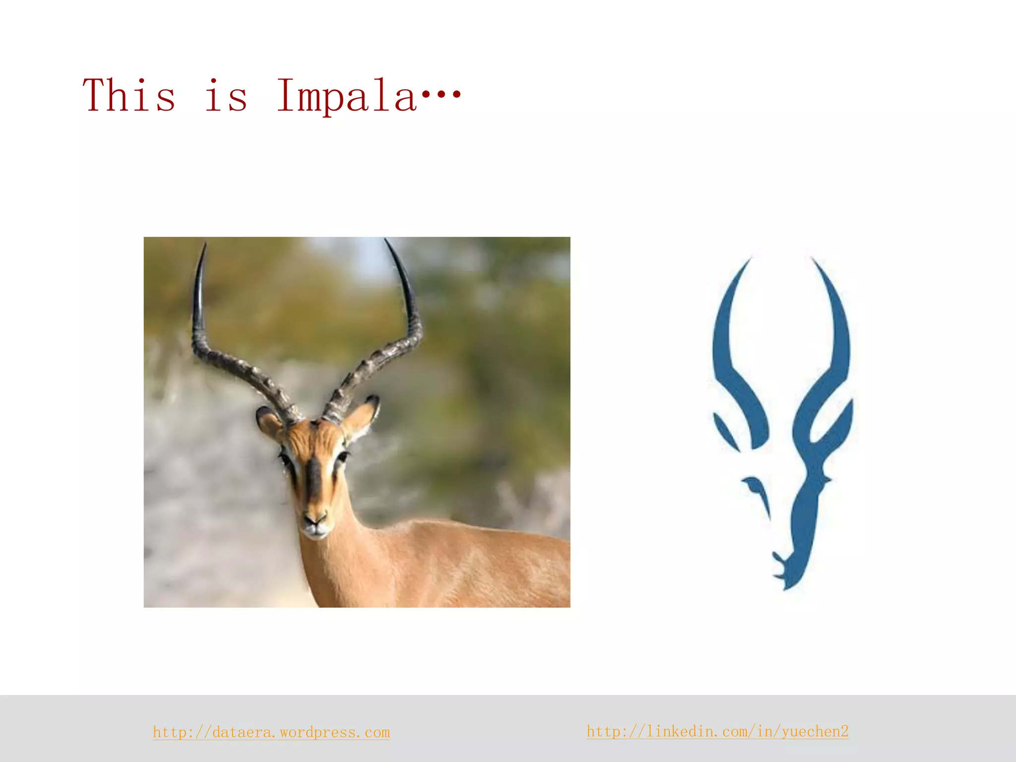 http://dataera.wordpress.com 
http://linkedin.com/in/yuechen2 
This is Impala…  