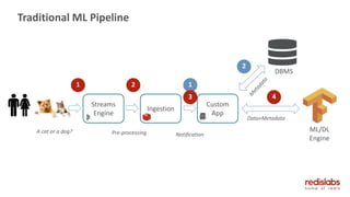 Traditional ML Pipeline
Streams
Engine
A cat or a dog?
Ingestion
Custom
App
1 2 1
DBMS
2
43
Data+Metadata
ML/DL
Engine
Pre-processing Notification
 