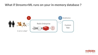 What if Streams+ML runs on your in-memory database ?
A cat or a dog?
Custom
App
1 1
Redis Enterprise
+
Notification
 