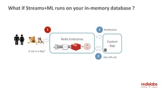 What if Streams+ML runs on your in-memory database ?
A cat or a dog?
Custom
App
1 1
Redis Enterprise
+
Notification
2 One API call
 