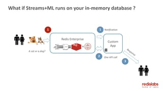What if Streams+ML runs on your in-memory database ?
A cat or a dog?
Custom
App
1 1
Redis Enterprise
+
Notification
2 One API call
3
 