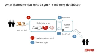 What if Streams+ML runs on your in-memory database ?
A cat or a dog?
Custom
App
1 1
Redis Enterprise
+
Notification
2 One API call
3
1x data-movement
3x messages
 