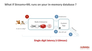 What if Streams+ML runs on your in-memory database ?
A cat or a dog?
Custom
App
1 1
Redis Enterprise
+
Notification
2 One API call
3
Single digit latency (<10msec)
 