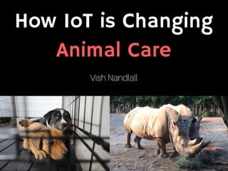 How IoT is Changing
Animal Care
Vish Nandlall
 
