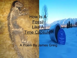How Is A  Fossil   Like A  Time Capsule ? A Poem By James Greig 