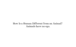 How Is a Human Different from an Animal?
Animals have no ego.
 
