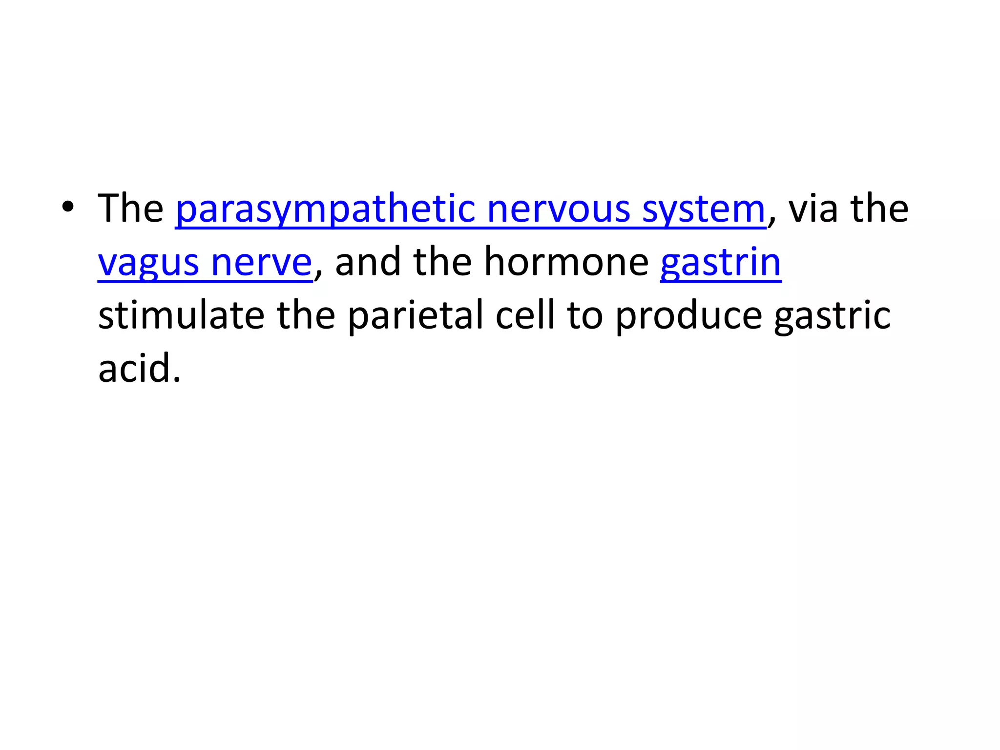 • The parasympathetic nervous system, via the
  vagus nerve, and the hormone gastrin
  stimulate the parietal cell to produce gastric
  acid.
 
