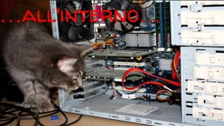 …all’interno…
3
 