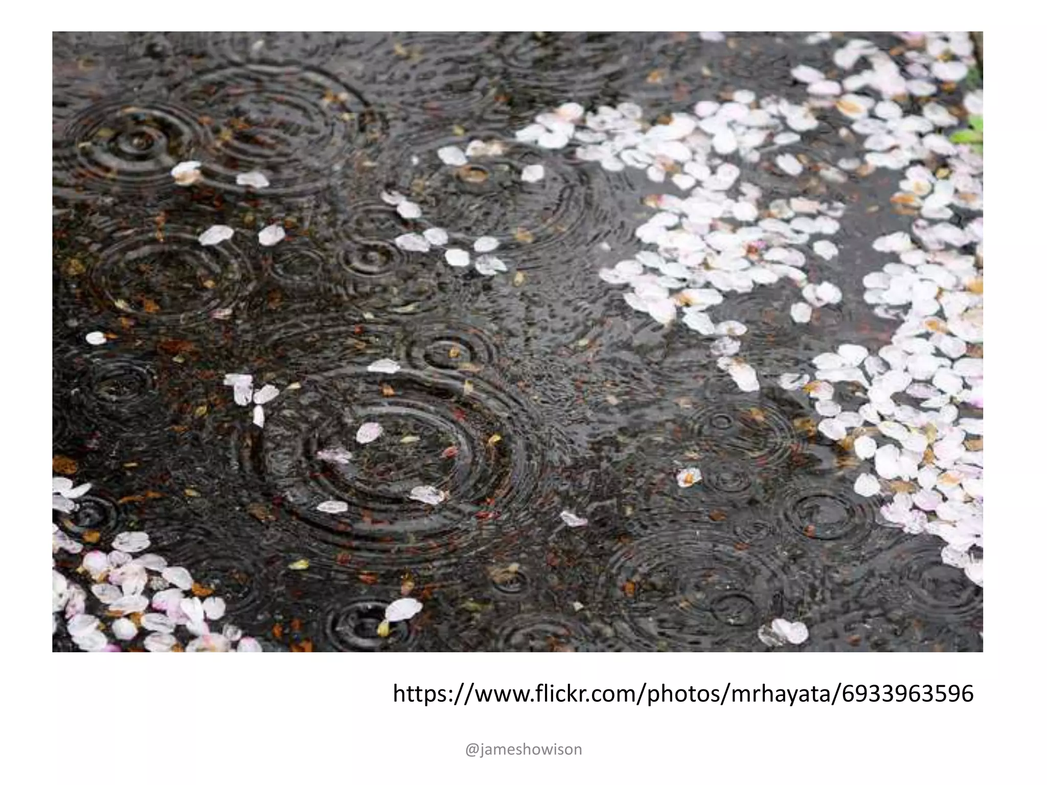 @jameshowison
https://www.flickr.com/photos/mrhayata/6933963596
 