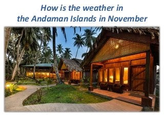 How is the weather in
the Andaman Islands in November
monof November?
 