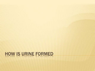 HOW IS URINE FORMED
 