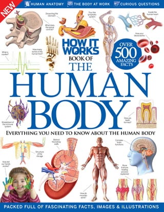 Structure
ofthe
ribcage
Howdo
muscles
work?
Behind
thekidney
walls
NEW
HUMAN
BODY
THE
PACKED FULL OF FASCINATING FACTS, IMAGES & ILLUSTRATIONS
BOOK OF
Everything you need to know about the human body
THE BODY AT WORK CURIOUS QUESTIONSHUMAN ANATOMY
Breakdownof
theimmune
system
Howmany
bonesinthe
humanfoot?
Complex
brain
functions
Dissectingthe
stomach
Howdid
ourhands
evolve?
AMAZING
FACTS
500
OVER
Insidethe
humanheart
Whatdoes
thespinal
corddo?
Whatis
apulse?
Howyour
bloodworks
Tourthe
lymphatic
system
Bone
fracture
healing
process
explained
Howare
teeth
formed?
 