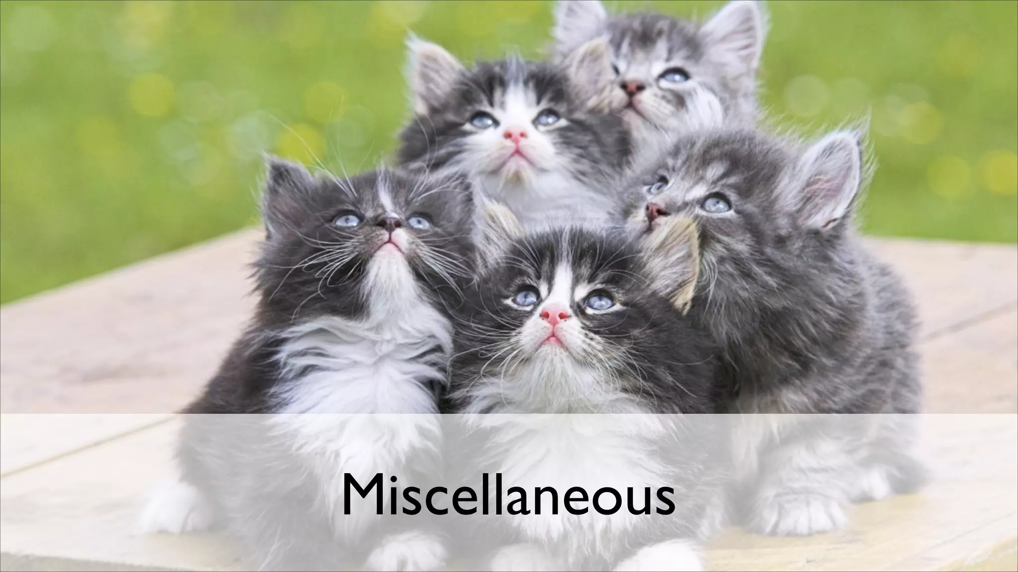 Miscellaneous

 