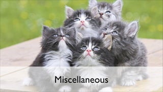 Miscellaneous

 