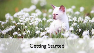 Getting Started

 