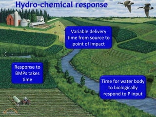 Time for water body
to biologically
respond to P input
Response to
BMPs takes
time
Variable delivery
time from source to
point of impact
 