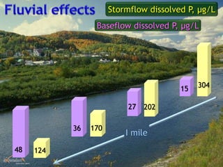 36
48
15
Baseflow dissolved P, µg/L
27
Stormflow dissolved P, µg/L
170
124
304
202
I mile
 