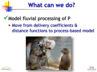 Model fluvial processing of P
 Move from delivery coefficients &
distance functions to process-based model
 