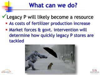 Legacy P will likely become a resource
 As costs of fertilizer production increase
 Market forces & govt. intervention will
determine how quickly legacy P stores are
tackled
 