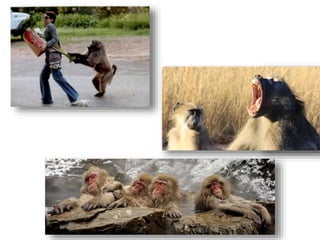 How legacy nutrients affect farm conservation measures