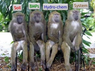 Soil Hydro-chemBMPs System
 