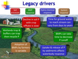 Uptake & release of P
by sediments affects
waterbody response
Decline in soil P
with crop
offtake is slow
Adoption of
BMPs by farmers
is variable
BMPs can take
time to decrease
P runoff
Soil
processes
Hydro-chemical
response
System
response
BMP
response
Wetlands trap &
buffers can trap
then recycle P
Time for ground water
to reach stream can
vary from days to years
 