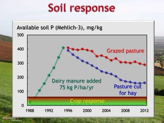 0
100
200
300
400
500
1988 1992 1996 2000 2004 2008 2012
Available soil P (Mehlich-3), mg/kg
Grazed pasture
Dairy manure added
75 kg P/ha/yr Pasture cut
for hay
Crop response
 