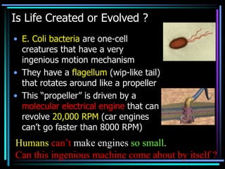 How life begin | PPTX