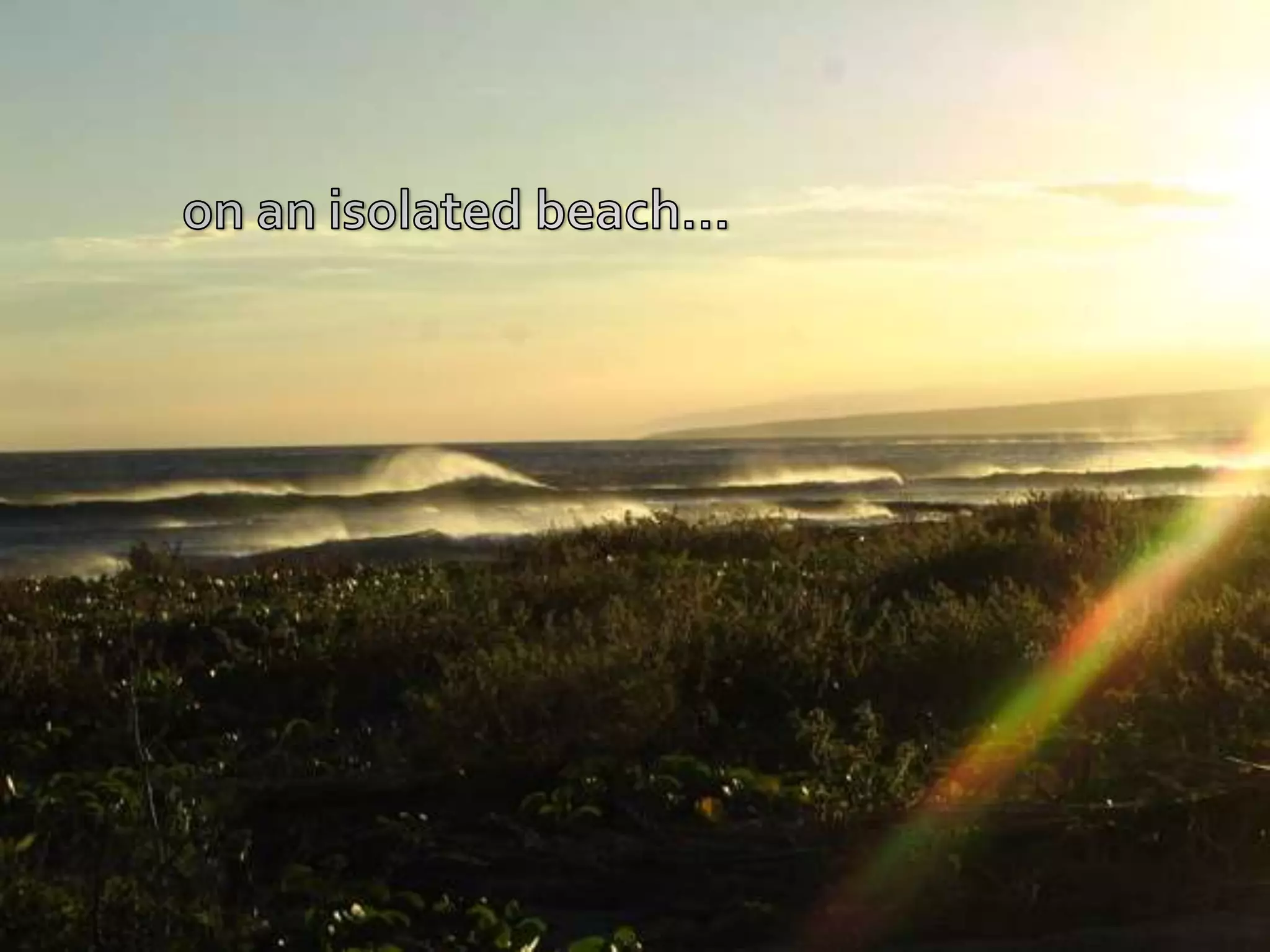 on an isolated beach… 