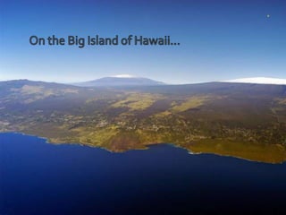 On the Big Island of Hawaii… 
